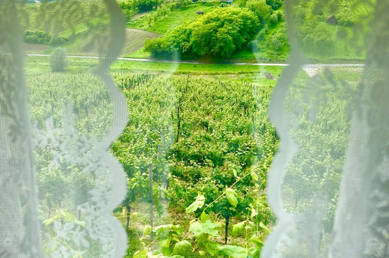 Sveti Ivan Zelina Wine Paradise מראה חיצוני תמונה
